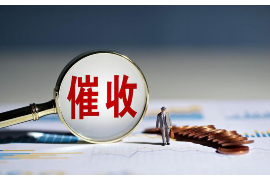 利川为什么选择专业追讨公司来处理您的债务纠纷？